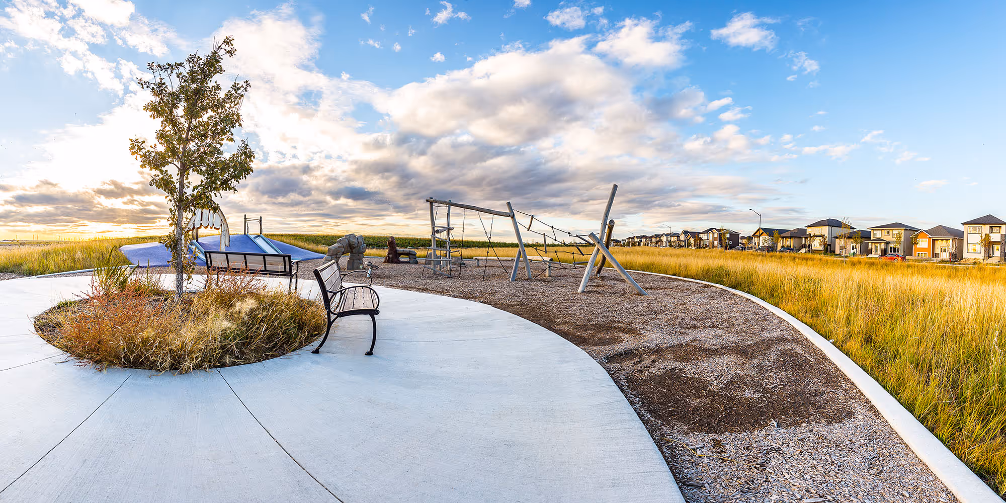 Wide view of the nature playground with a curved concrete path, a bench, a rope climbing structure, a blue slide and tall prairie grass beside new houses.