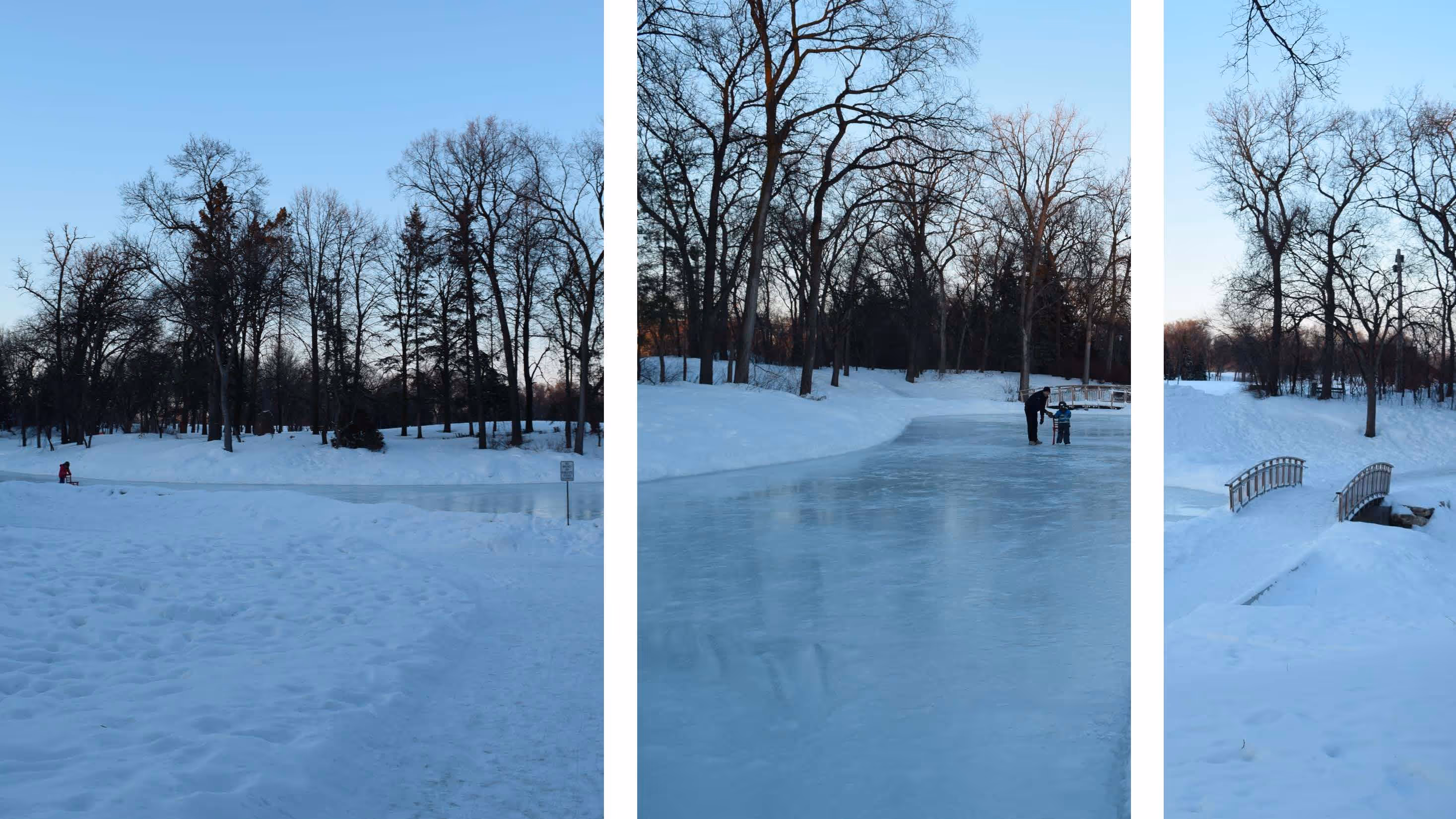 Three vertical winter photographs of the frozen pond in the park, with snow, bare trees at dusk, a skating path with two people and a small footbridge.
